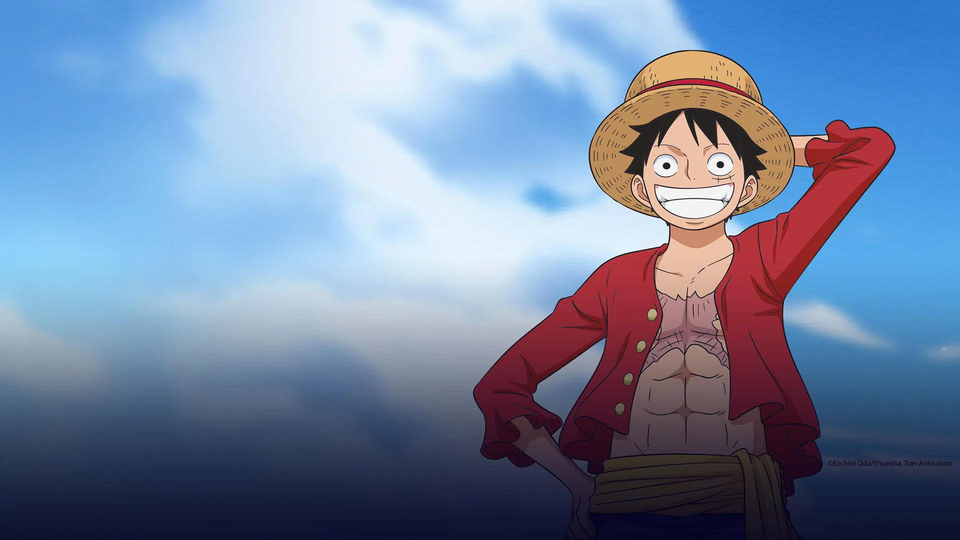 one piece